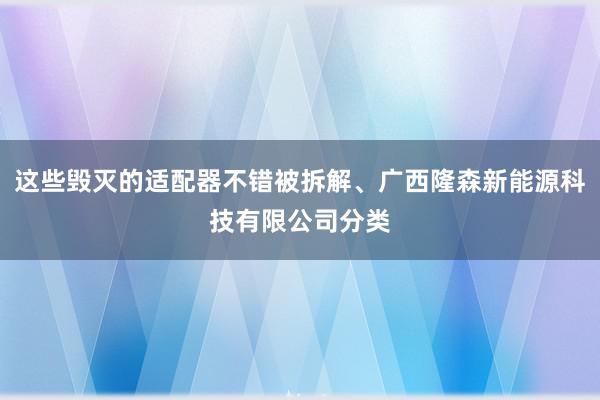 这些毁灭的适配器不错被拆解、广西隆森新能源科技有限公司分类